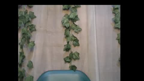 Snapshot of dripqueenx chatting on October 3, 2025, 8:50 pm linda online show from October 3, 2025, 8:50 pm