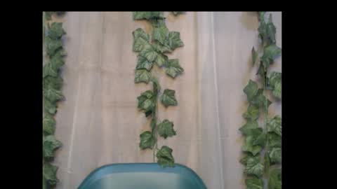 Snapshot of dripqueenx chatting on October 6, 2025, 2:09 am linda online show from October 6, 2025, 2:09 am