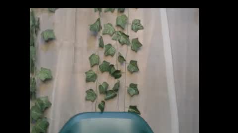 Snapshot of dripqueenx chatting on October 8, 2025, 11:57 pm linda online show from October 8, 2025, 11:57 pm
