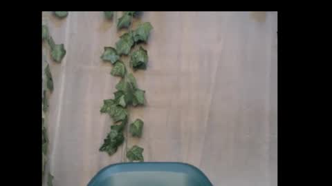 Snapshot of dripqueenx chatting on October 18, 2025, 9:59 pm linda online show from October 18, 2025, 9:59 pm