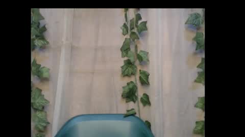 Snapshot of dripqueenx chatting on October 30, 2025, 1:12 pm linda online show from October 30, 2025, 1:12 pm