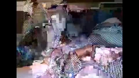 Snapshot of driver187 chatting on December 19, 2024, 7:40 pm driver187 online show from December 19, 2024, 7:40 pm