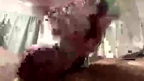 Snapshot of droppingloads82 chatting on March 8, 2026, 9:13 am droppingloads82 online show from March 8, 2026, 9:13 am