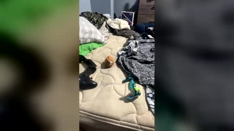 Snapshot of dryydennn chatting on April 3, 2026, 1:14 am sissyginger online show from April 3, 2026, 1:14 am