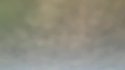 StraightStroker online show from December 21, 2024, 6:55 pm