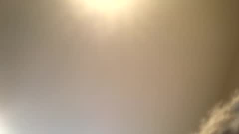 ducebabydee online show from September 16, 2025, 6:20 pm