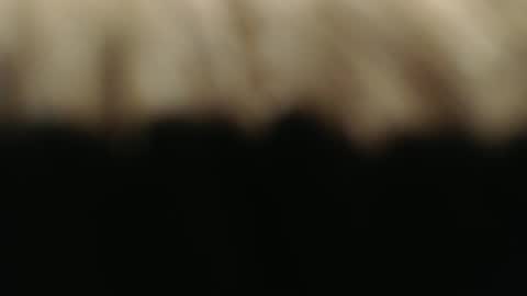 swiss kiss online show from March 1, 2025, 7:15 pm