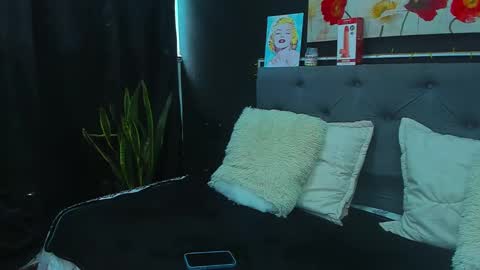 C E L E S T E  online show from January 26, 2025, 2:08 pm