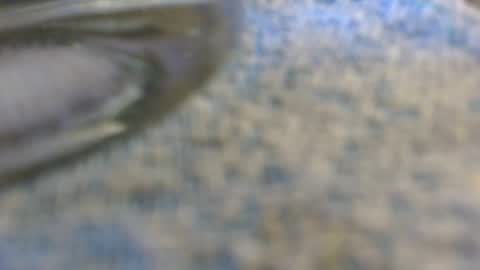 dunany101 online show from November 2, 2025, 11:51 pm