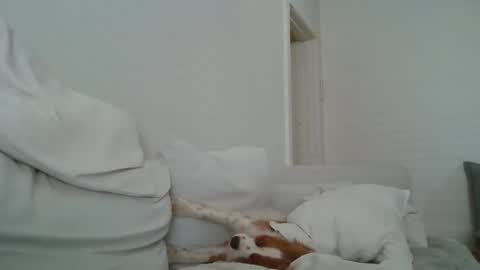 Snapshot of dustyroy09 chatting on February 14, 2025, 1:45 am dustyroy09 online show from February 14, 2025, 1:45 am