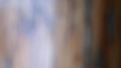 dVe1oPe online show from November 26, 2025, 9:54 am