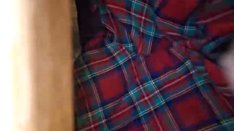 dVe1oPe online show from March 21, 2026, 9:25 am