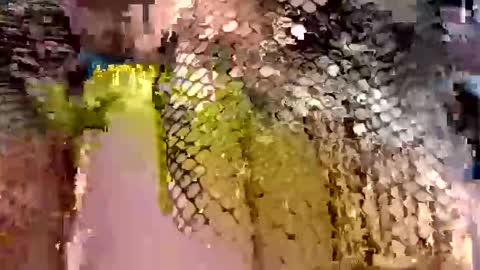 dwadek081704 online show from September 19, 2025, 11:33 am