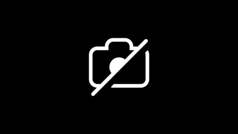 dylp400 online show from October 15, 2025, 12:49 pm