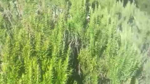 ebnk15 online show from October 21, 2025, 1:12 pm