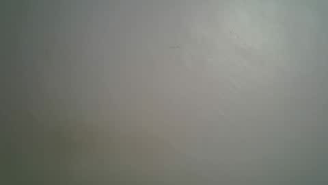 Queen online show from March 15, 2026, 8:37 pm