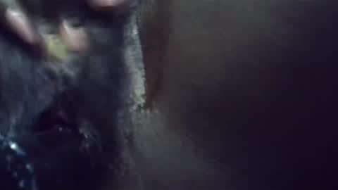 ebonykiki online show from January 23, 2025, 11:36 pm