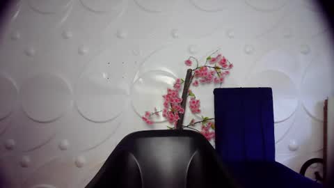 ebonykissxx online show from June 26, 2026, 11:36 am
