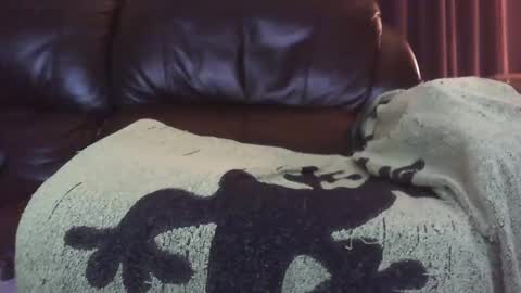 Ectopicstarfish online show from December 13, 2024, 8:41 am