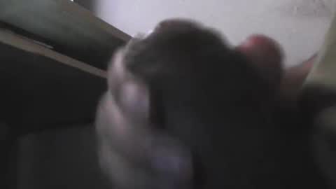 EddiesCock69 online show from November 5, 2025, 9:20 am