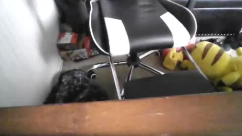 Snapshot of eddy815 chatting on November 24, 2025, 10:53 pm eddy815 online show from November 24, 2025, 10:53 pm