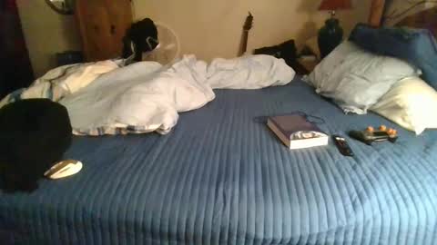 Edeaan online show from December 14, 2024, 2:23 am