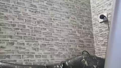 edithmanning online show from February 18, 2025, 1:55 pm