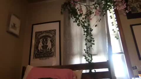 eggnog_and_booty online show from July 9, 2026, 8:13 pm