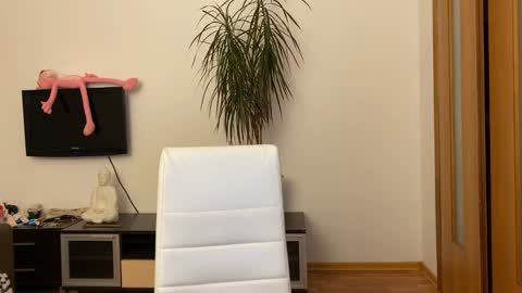 Eitan online show from February 1, 2025, 11:54 am