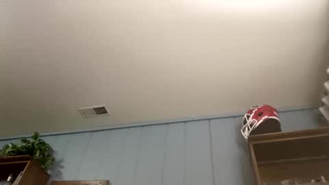 PiedPiper online show from April 5, 2026, 11:18 am