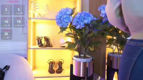 Elasummeer online show from November 10, 2025, 11:53 am