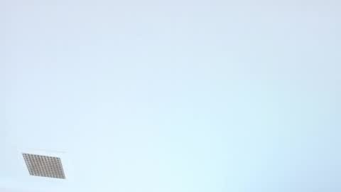 elektradoll1 online show from June 5, 2026, 12:44 pm