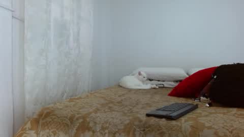 elektra online show from October 30, 2025, 4:08 pm