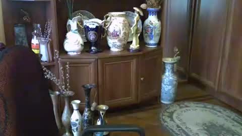 ElenaZed online show from October 13, 2025, 11:43 am