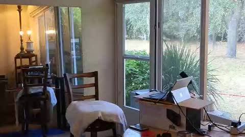 eliberator online show from January 7, 2026, 6:43 pm