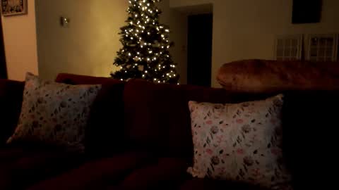 Elinah online show from December 2, 2025, 10:53 am