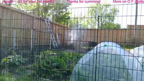 Snapshot of ells_palace chatting on June 1, 2026, 1:35 pm Ella Bella Bo Bella online show from June 1, 2026, 1:35 pm