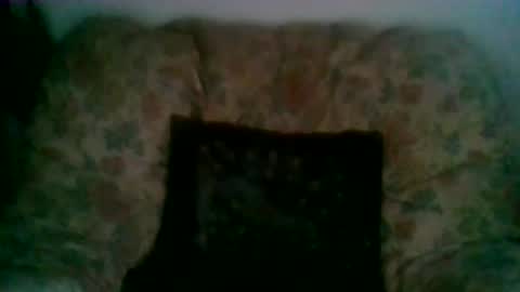 Snapshot of elmo191271 chatting on January 7, 2026, 8:06 am elmo191271 online show from January 7, 2026, 8:06 am