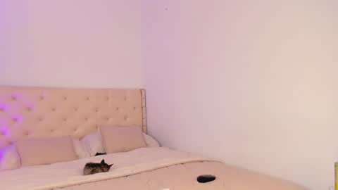 Michelle online show from March 20, 2026, 7:30 pm