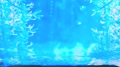 Ember Starleena online show from January 19, 2026, 3:49 pm