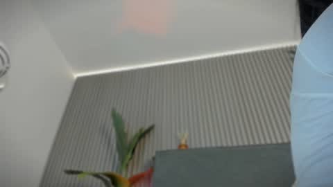 emelie_89 online show from July 15, 2026, 11:48 am