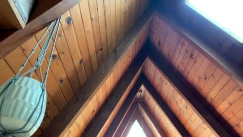 popalottapuss - puddin tits - daddy - buttercup - bonfire - Mrs. Fuck Yea - hibeams - honey buns - online show from April 13, 2026, 6:35 pm