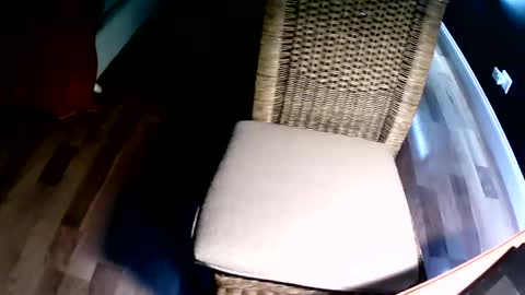 emi4850 online show from December 8, 2024, 8:15 pm