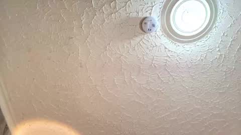 Emiily Carter online show from September 29, 2025, 8:24 pm