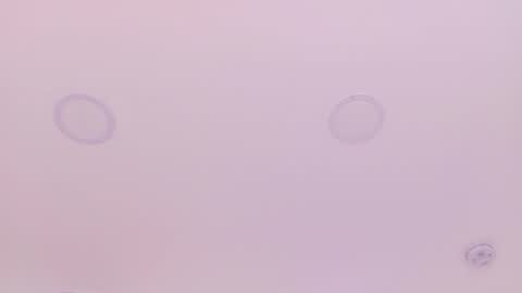 Emily Bank online show from March 29, 2026, 7:36 pm