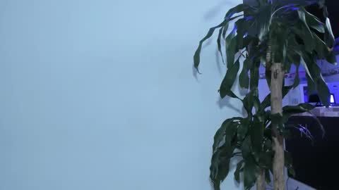 Snapshot of emma_eva1 chatting on February 22, 2025, 2:30 pm Emma online show from February 22, 2025, 2:30 pm