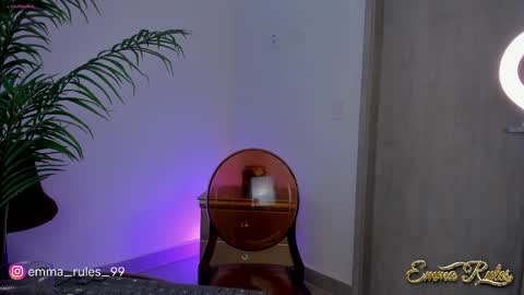 Snapshot of emma_rules99 chatting on February 23, 2025, 7:49 pm Emma online show from February 23, 2025, 7:49 pm