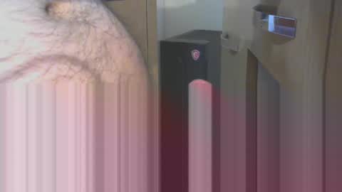 engin_83 online show from April 17, 2026, 11:30 pm