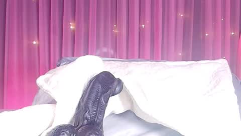 Estrella online show from February 24, 2026, 11:52 am