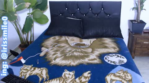 Iris Smile  independent model online show from December 20, 2024, 3:36 am